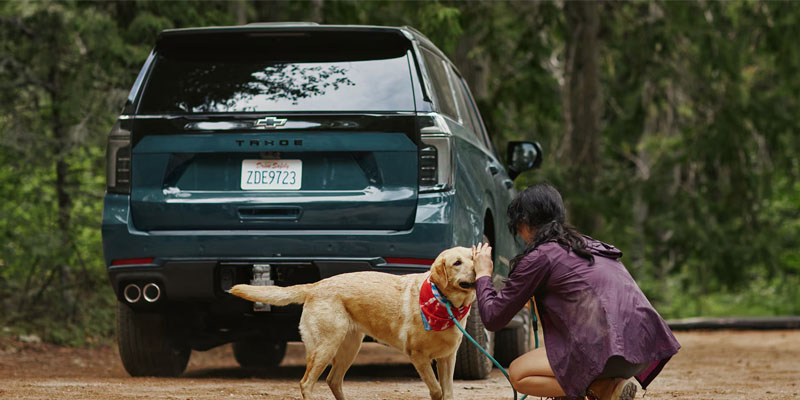 A woman in a purple jacket affectionately pets a golden retriever wearing a red bandana near a parked blue Tahoe on a forested dirt road.