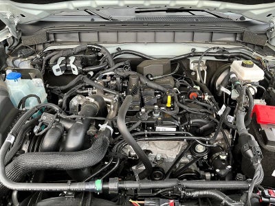 2024 Ford Bronco Everglades