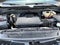 2023 Cadillac Escalade Luxury