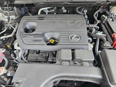 2024 Lexus NX 250 NX 250