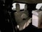 2023 Mitsubishi Outlander SEL 2.5 2WD