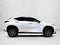 2024 Lexus NX 250 Premium