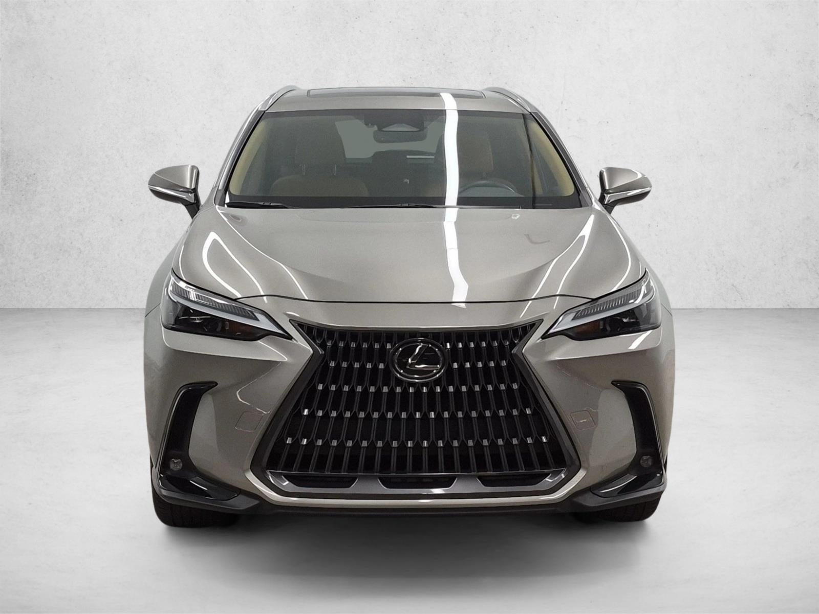 2024 Lexus NX 250 NX 250