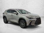 2024 Lexus NX 250 NX 250
