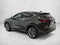 2026 Lexus NX 350 Luxury