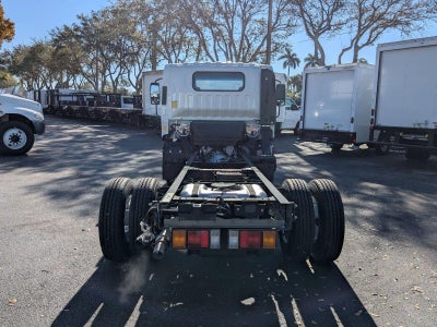 2025 Chevrolet Low Cab Forward 3500 HG 1WT
