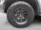 2024 Ford F-150 Raptor 4WD SuperCrew 5.5' Box