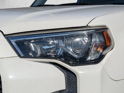 2019 Toyota 4Runner SR5 Premium 4WD (Natl)