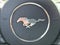 2017 Ford Mustang GT Premium Convertible