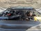2025 Ford Super Duty F-250 SRW XL 2WD Crew Cab 6.75' Box