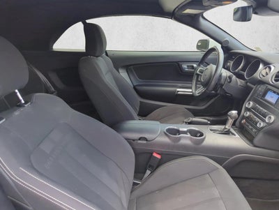 2019 Ford Mustang EcoBoost Convertible