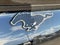 2023 Ford Mustang Mach-E Premium RWD