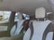 2018 Toyota Prius Four (Natl)