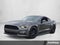 2017 Ford Mustang GT Fastback