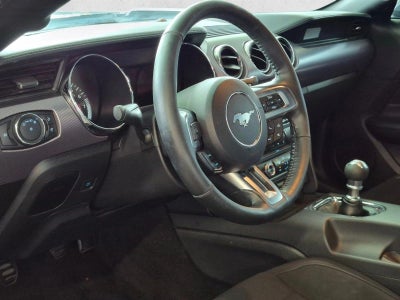 2017 Ford Mustang GT Fastback