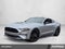 2023 Ford Mustang EcoBoost Fastback
