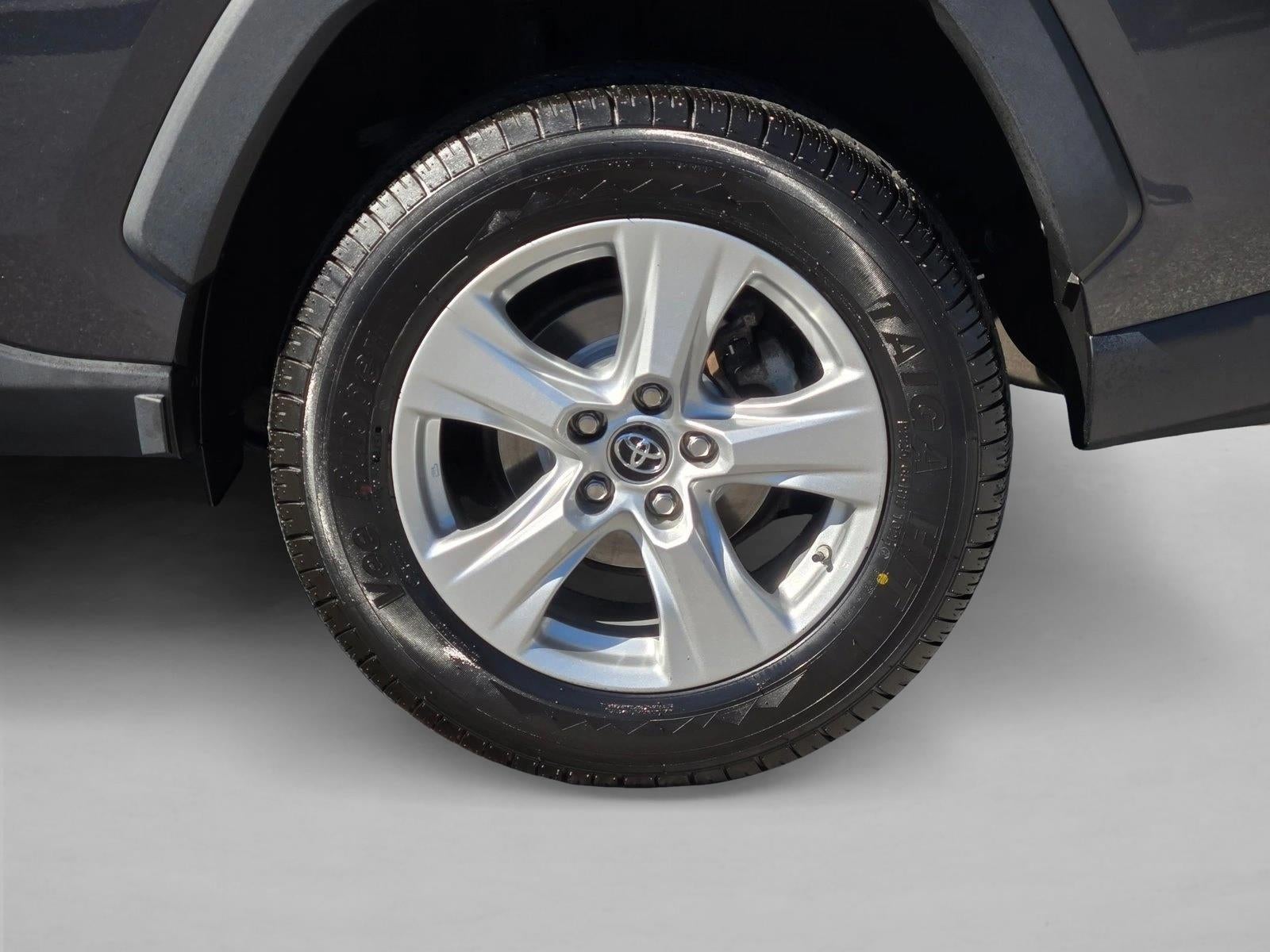 2019 Toyota RAV4 XLE AWD (Natl)