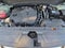 2023 Hyundai SANTA CRUZ SEL FWD