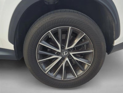 2024 Lexus NX 250 FWD