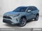 2023 Toyota RAV4 XLE Premium FWD (Natl)