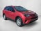 2016 Toyota RAV4 FWD 4dr LE (GS)