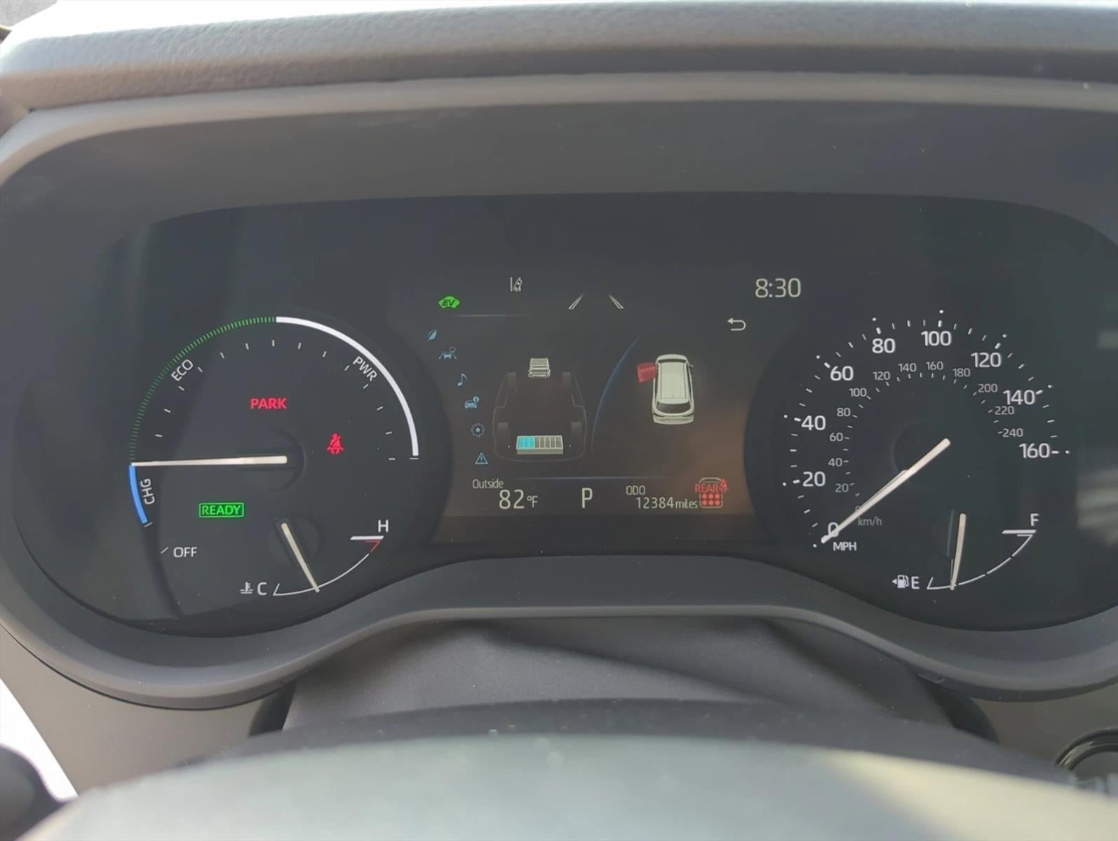 2025 Toyota Sienna XLE FWD 8-Passenger (Natl)