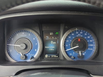 2019 Toyota Sienna XLE FWD 8-Passenger (Natl)