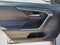 2019 Toyota RAV4 XLE Premium FWD (Natl)