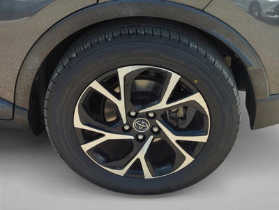 2019 Toyota C-HR XLE FWD (Natl)
