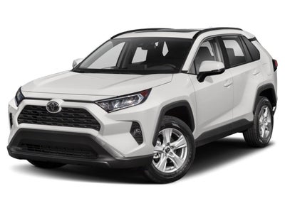 2019 Toyota RAV4 XLE AWD (Natl)