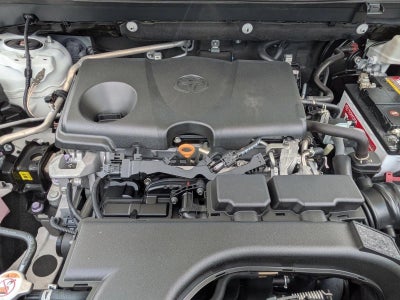 2019 Toyota RAV4 XLE Premium FWD (Natl)