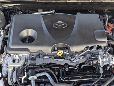 2025 Toyota Camry XLE (SE)