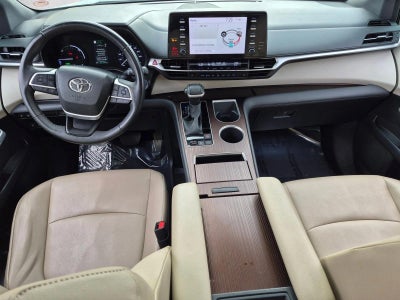 2023 Toyota Sienna XLE FWD 8-Passenger (Natl)
