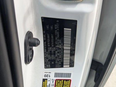 2019 Toyota Sienna XLE FWD 8-Passenger (Natl)