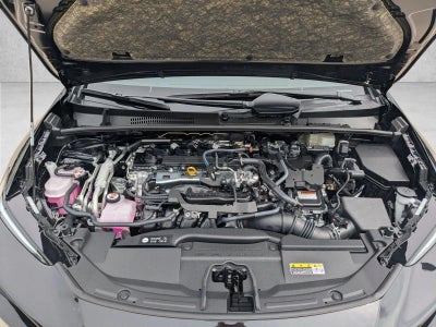 2026 Toyota Prius Plug-In Hybrid XSE (Natl)