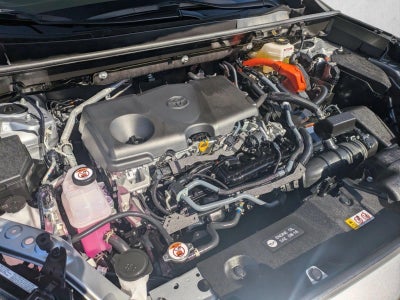 2025 Toyota RAV4 Hybrid LE AWD (Natl)