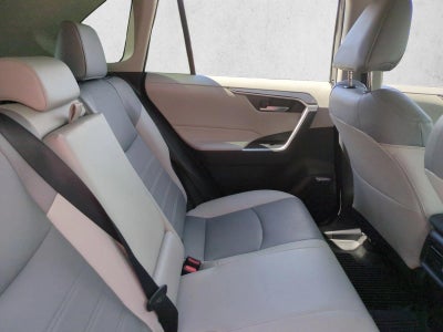 2024 Toyota RAV4 XLE Premium FWD (Natl)