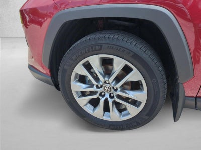 2025 Toyota RAV4 XLE Premium FWD (Natl)