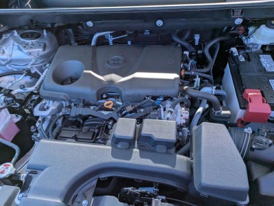 2025 Toyota RAV4 LE FWD (GS)