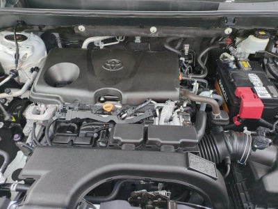 2020 Toyota RAV4 XLE FWD (GS)