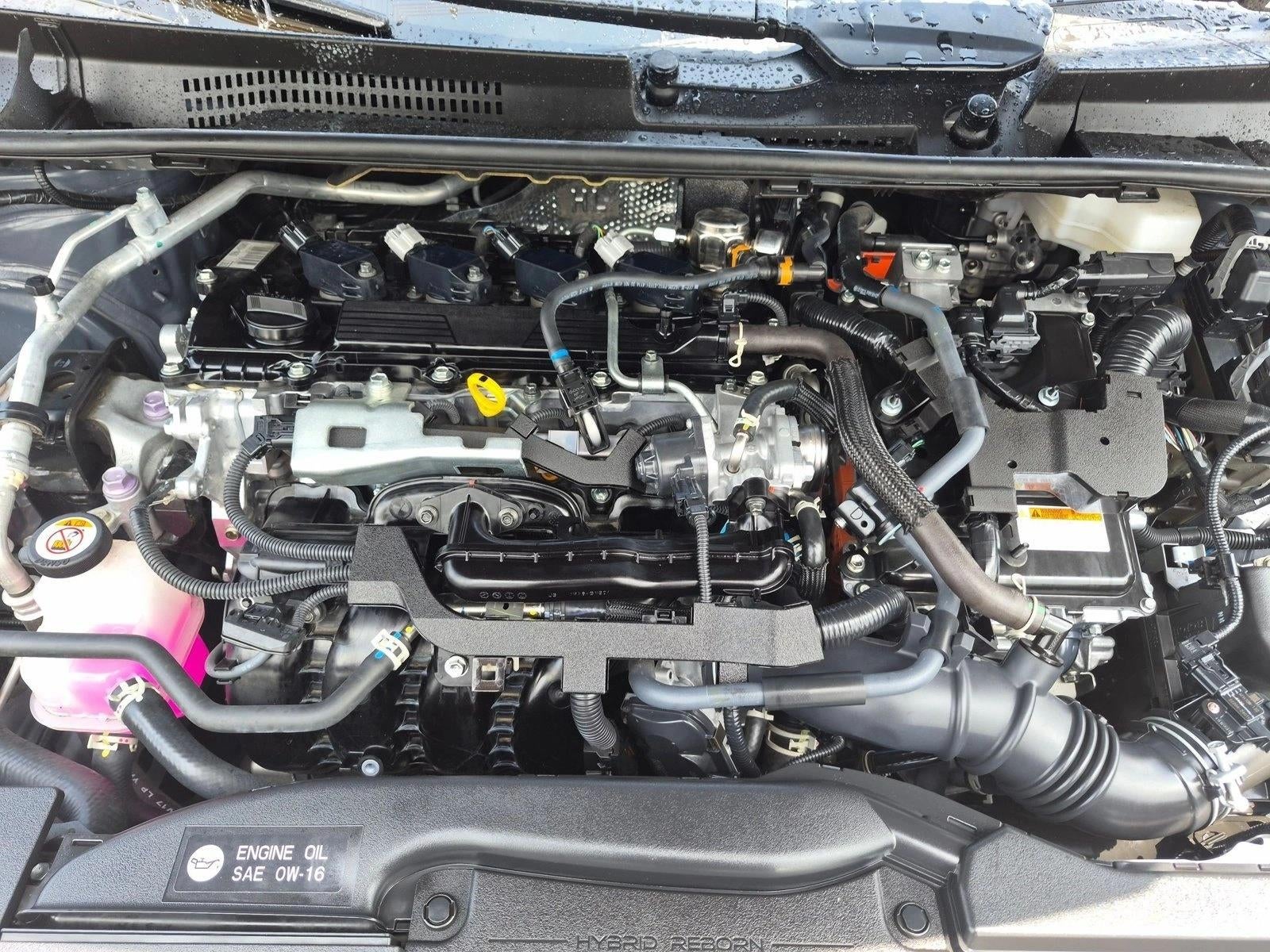 2024 Toyota Prius XLE (Natl)