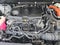 2021 Toyota RAV4 Hybrid XSE AWD (Natl)