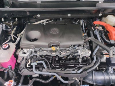 2024 Toyota RAV4 Hybrid Limited AWD (Natl)