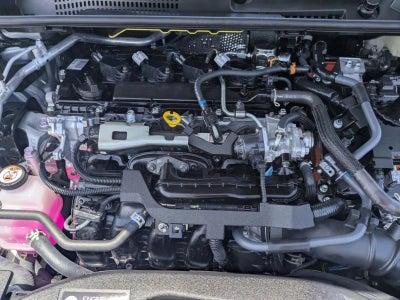 2026 Toyota Prius XLE (Natl)
