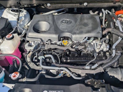 2024 Toyota RAV4 Hybrid XLE Premium AWD (Natl)