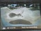 2020 Acura MDX FWD 7-Passenger