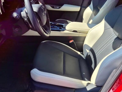 2023 Lexus NX 350 Premium AWD