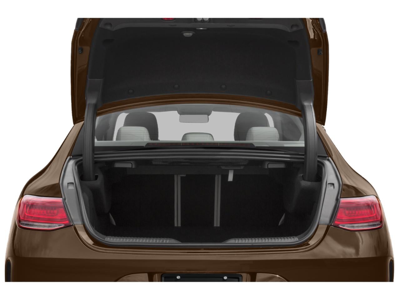 2020 Mercedes-Benz CLS CLS 450 Coupe